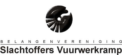 Logo BVSE